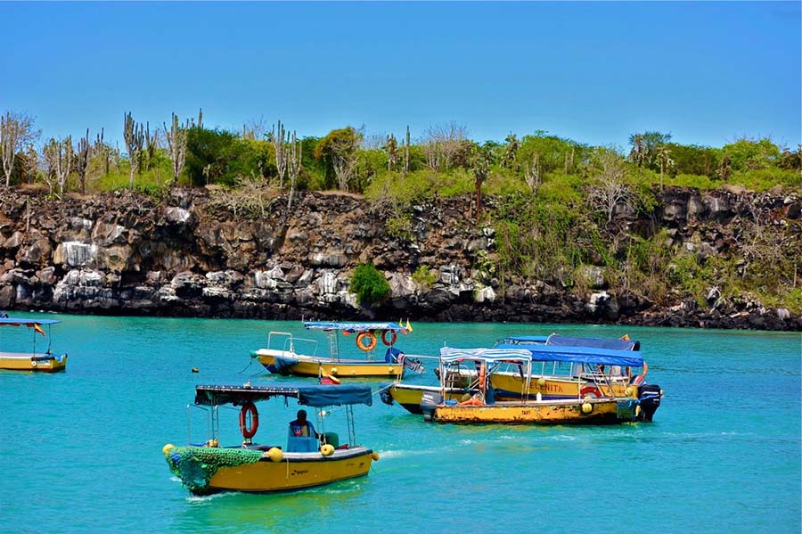 Ilhas Galápagos: um local que guarda muita história com sua fauna e flora peculiares