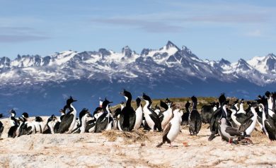 Inverno na Patagônia: Lugares para você se divertir e curtir a natureza