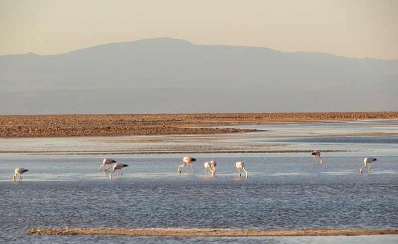 Lugares fantásticos para descobrir no Chile!