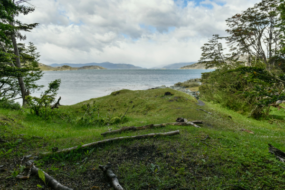 Black November Patagônia